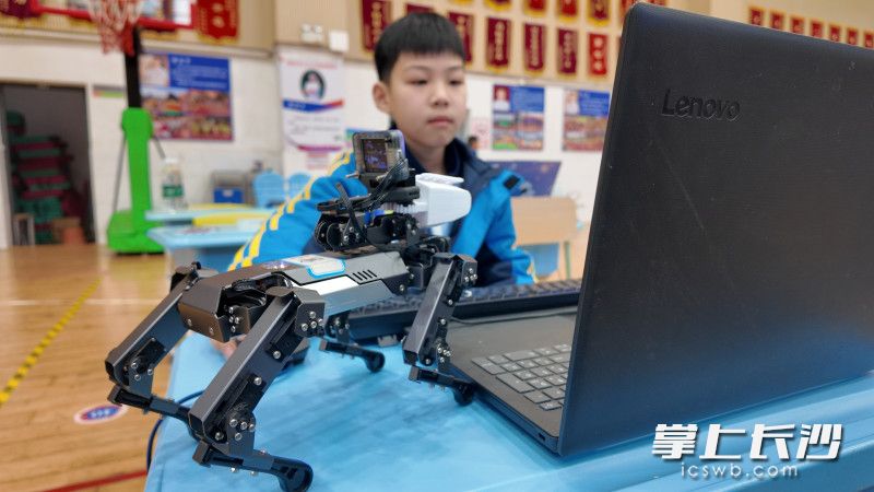 现场参赛选手正在给机器狗编程,确保能精准完成任务。 现场参赛选手正在给机器狗编程,确保能精准完成任务。