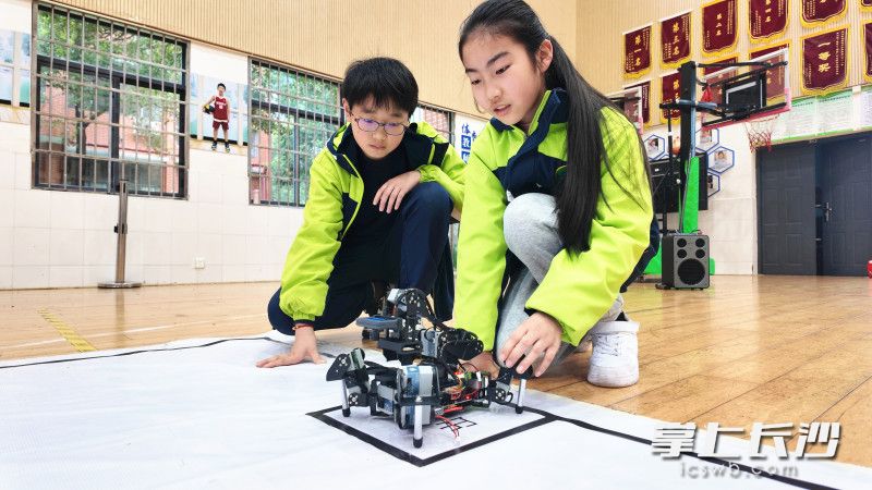 小选手们正在根据现场环境调试仿生类机器人。除署名外均由长沙晚报全媒体记者 张炎炎 摄 小选手们正在根据现场环境调试仿生类机器人。除署名外均由长沙晚报全媒体记者 张炎炎 摄