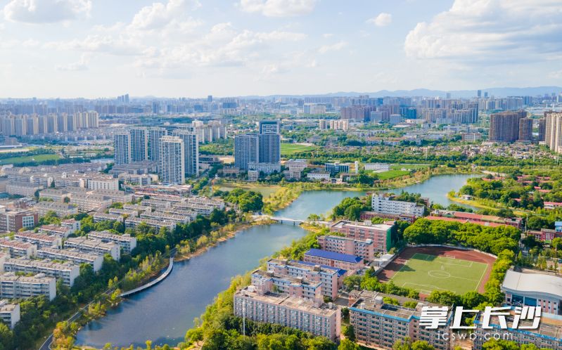 芙蓉区东湖街道激活“智力富矿”，联动打造种业创新高地。 受访者供图