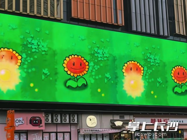 种太阳大屏“走红”。  长沙晚报全媒体记者 舒元臻 摄