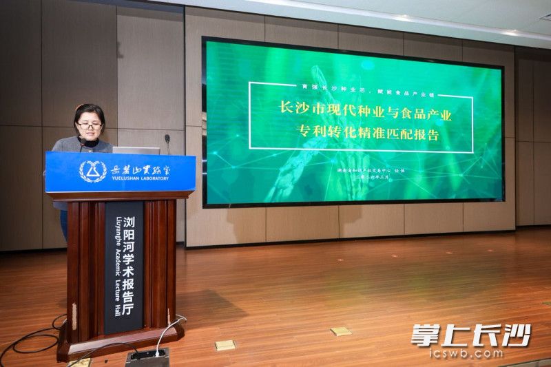 长沙市现代种业及食品产业链专利转化精准匹配分析专题分享。