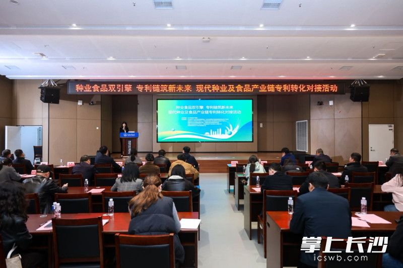 活动现场。 均为长沙晚报通讯员刘晓军供图