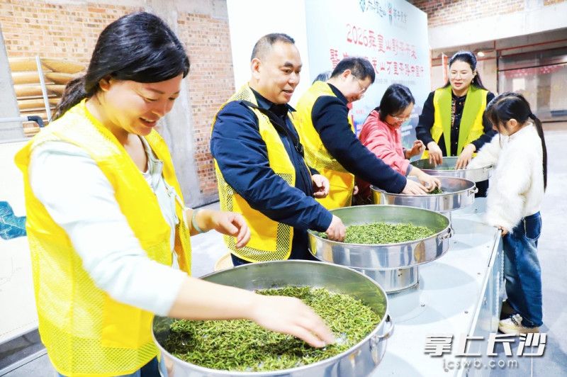 在舜帝茶庄体验绿茶制作。 均为长沙晚报通讯员梁格供图 在舜帝茶庄体验绿茶制作。 均为长沙晚报通讯员梁格供图