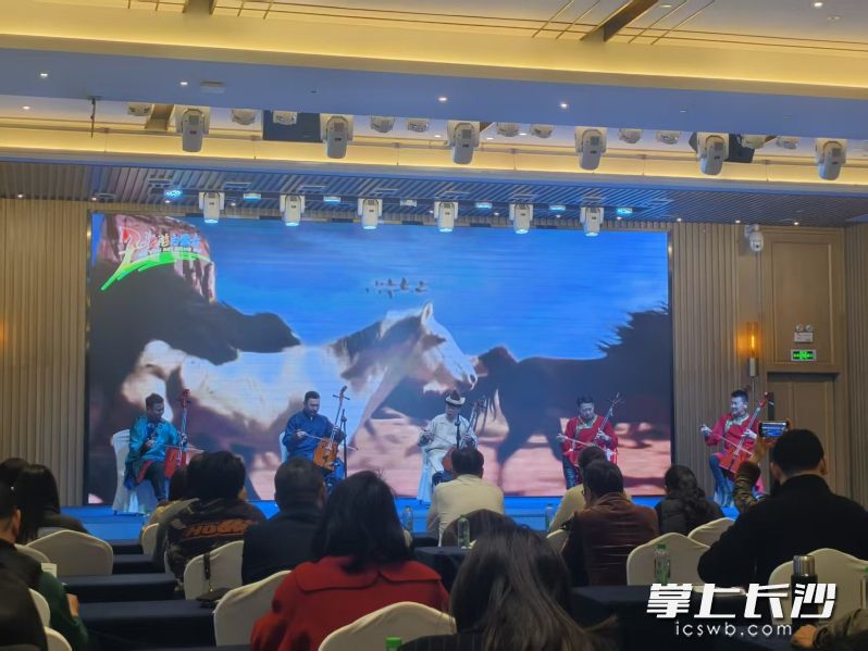 马头琴表演。 长沙晚报全媒体记者 宁莎鸥 摄