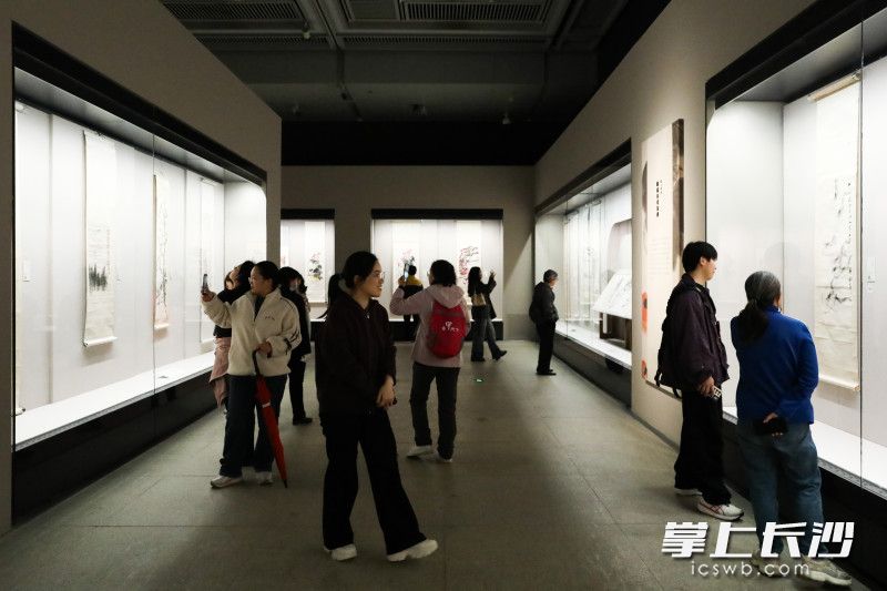展览现场。