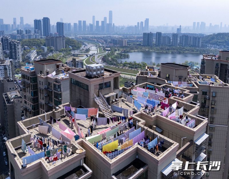 长沙一小区楼顶晒满了衣被，景象整齐壮观。均为长沙晚报全媒体记者 郭雨滴 摄
