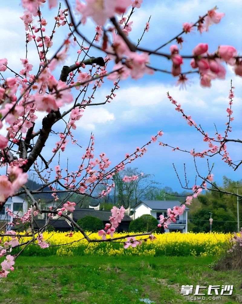 浏阳市大围山镇。