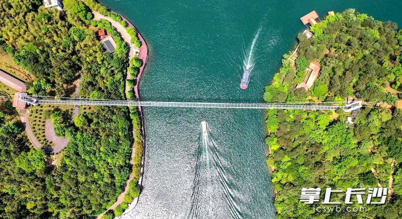 景区的玻璃桥、攀爬乐园、粉红沙滩、天空之镜、蹦极、飞索等游乐设施全部开放。 均为长沙晚报全媒体记者贺文兵摄