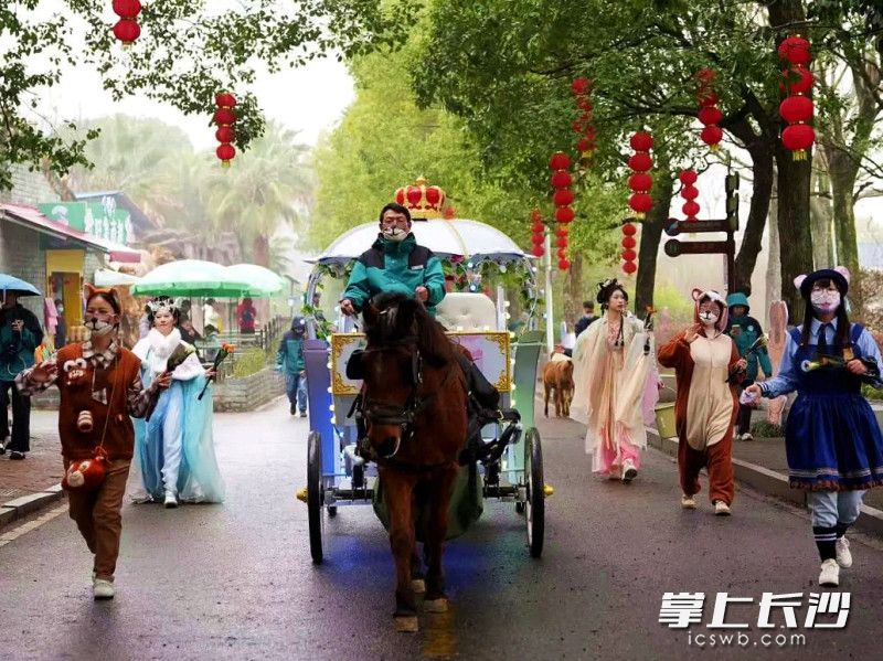 一马当先花车巡游，每日限定欢乐上线。均为长沙晚报通讯员 谭思敏 摄