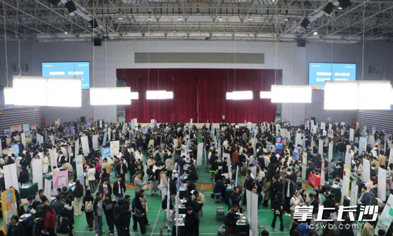 220多家企业来到中南林科大开展春招活动。 均为天心区人社局供图