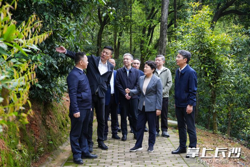 秀峰山公园检查现场。 秀峰山公园检查现场。