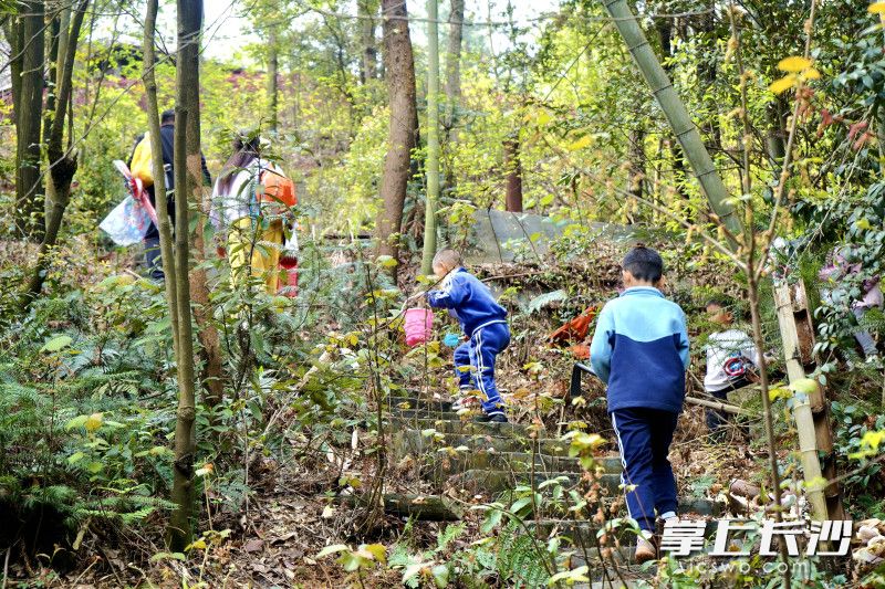 小孩子跟着大人上山挖笋。