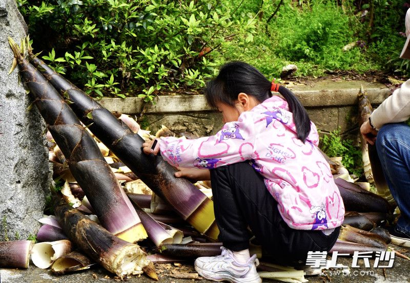 小女孩在剥笋壳叶。