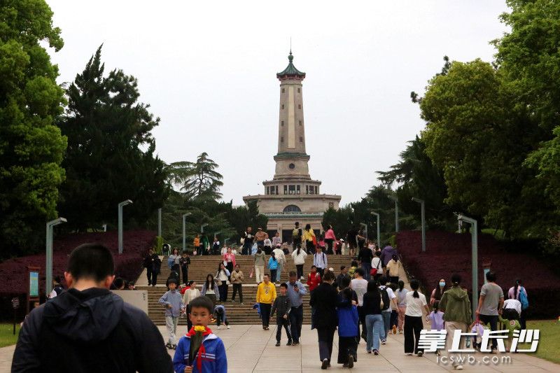 三天，前来祭扫的市民逾10万人次，其中青年群体和亲子家庭占比超七成。
