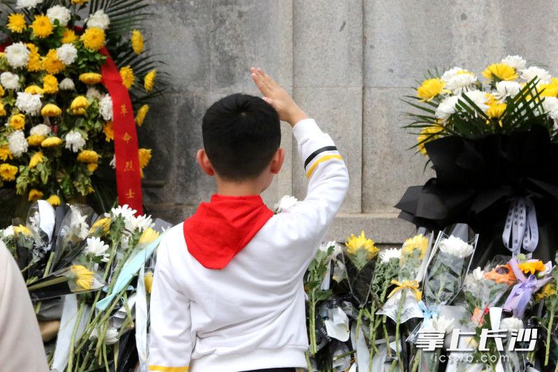 4月5日，一名系着红领巾的男孩面朝烈士塔行庄严的队礼。均为长沙晚报全媒体记者 贺文兵 摄