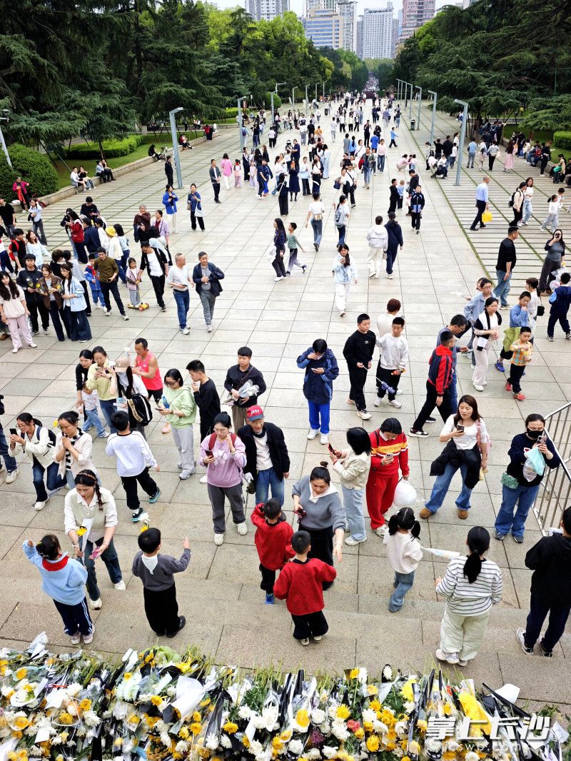 前来祭扫的人络绎不绝。