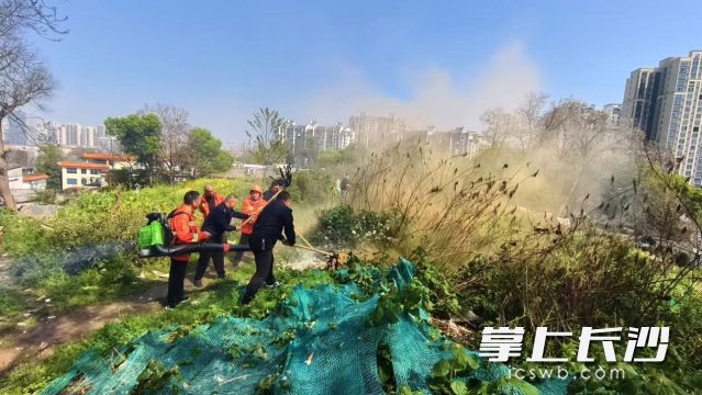 森林防灭火应急演练现场。  