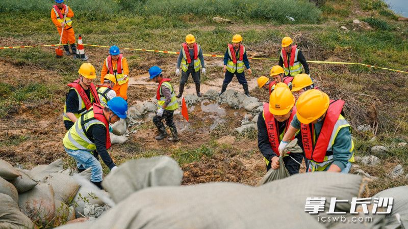抢险队员快速、有序地将沙袋传递至管涌点。