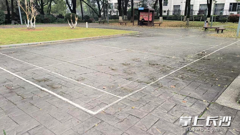 羽毛球场改造前。 羽毛球场改造前。