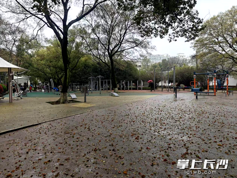 健身广场改造前。 健身广场改造前。