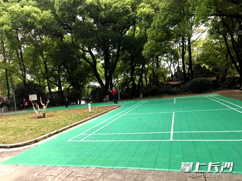 羽毛球场改造后。 羽毛球场改造后。