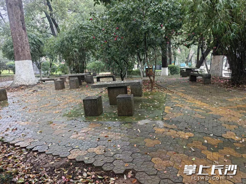 健身角改造前。 健身角改造前。