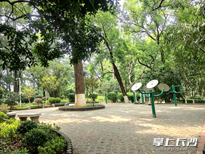 健身角改造后。 健身角改造后。