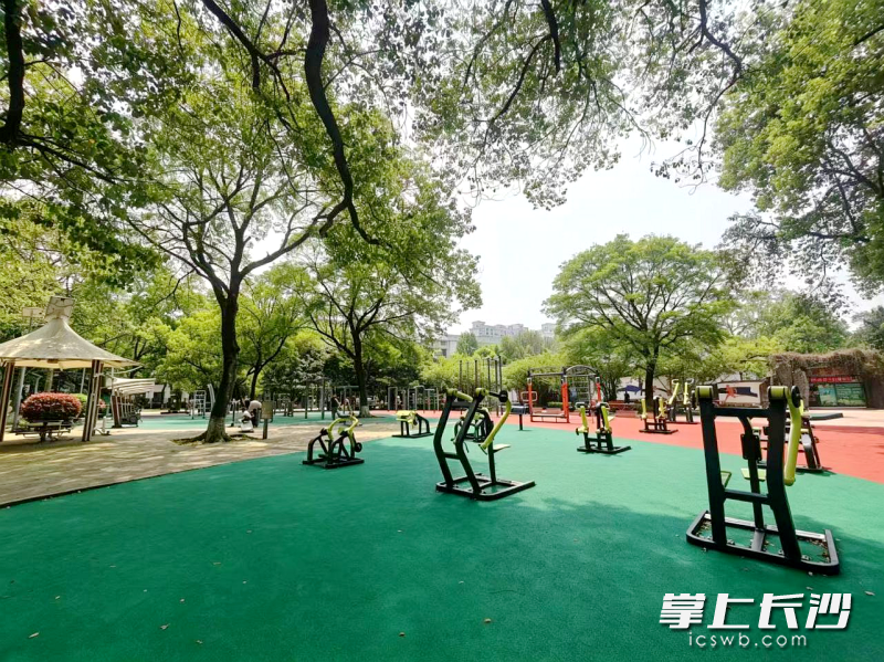 健身广场改造后。 健身广场改造后。