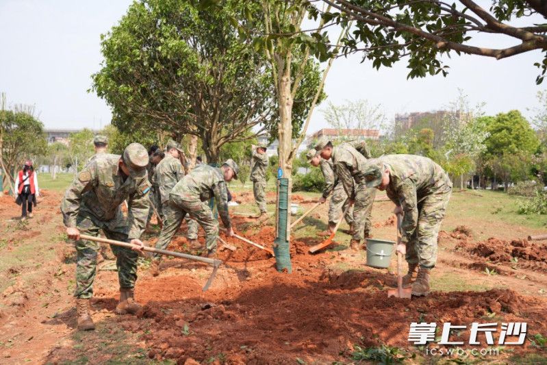 植树现场分工有序，热情高涨。