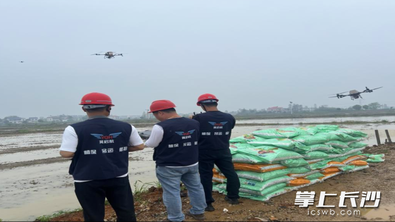 双江口镇统筹社会化服务力量，应急植保队24小时待命，无人机等全程热备，一旦出现灾情可立即开展补救作业。 长沙晚报全媒体记者 张禹 通讯员 刘源 摄