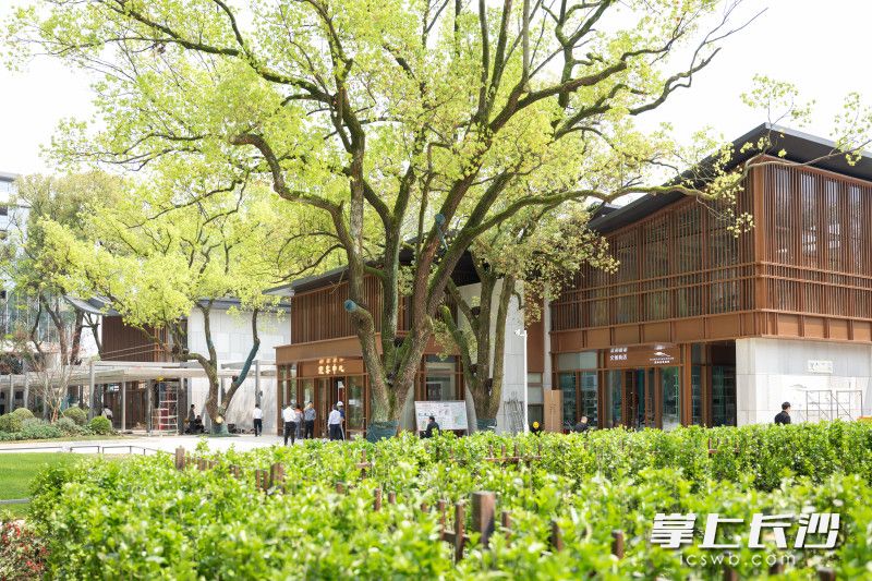 “馆园融合”后的烈士公园西广场。