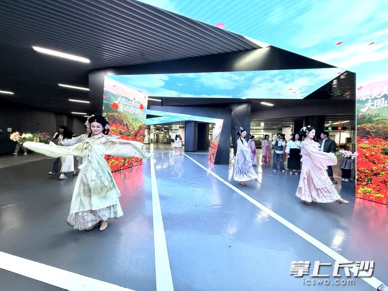 身着锦绣华服的杜鹃仙子翩翩起舞。除署名外均为长沙晚报全媒体记者 朱泽寰摄