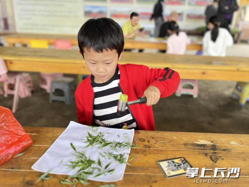 制作植物拓印手帕。