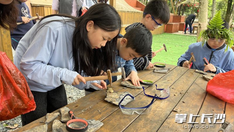 仔细辨别沉积岩。