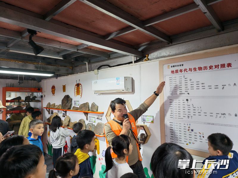 孩子们了解沉积岩与化石的形成。