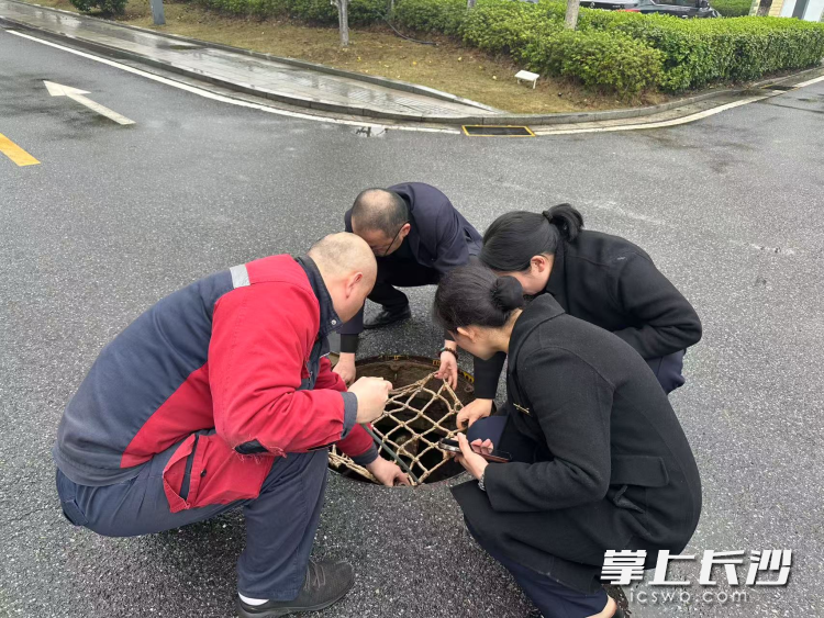长沙市各物业服务企业积极进行防汛风险排查，图为招商积余物业服务的湖南美术馆项目正在对外围排污井进行安全检查。