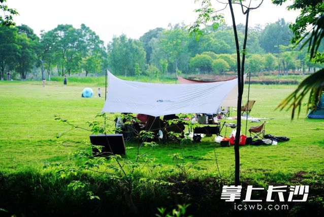 周末难得放晴，岳麓山、橘子洲、松雅湖等都适合安排上。  长沙晚报全媒体记者 舒元臻 摄