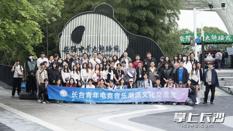 台湾青年参观中华大熊猫苑。