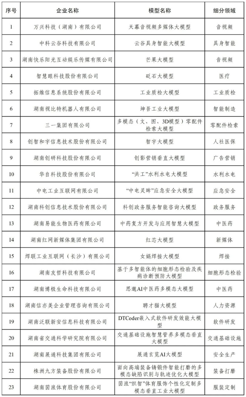2025年度湖南省人工智能大模型拟认定名单