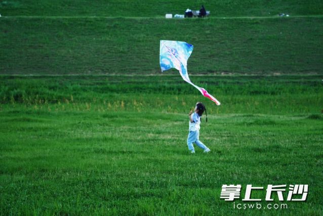 出门踏青、露营、爬山，或者带娃去公园放风筝，本周末是最佳时机。长沙晚报全媒体记者 舒元臻摄