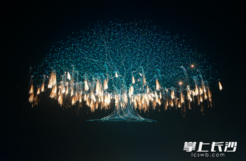 生命之树烟花。均为长沙晚报通讯员 彭红霞摄