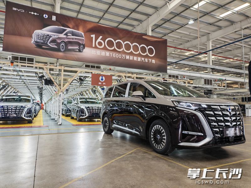 长沙产的第二代腾势D9成为比亚迪第1600万辆下线的新能源车型。 均为长沙晚报全媒体记者曹开阳摄