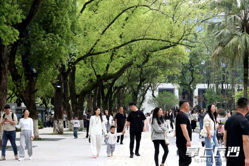 全程移步换景，游玩观展体验大幅升级。