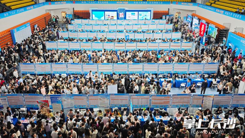 18日，“智汇潇湘 才聚湖南”2026年行动启动暨全省联动综合性招聘活动启动。图为长沙站活动现场。均为长沙晚报全媒体记者 郭雨滴 摄