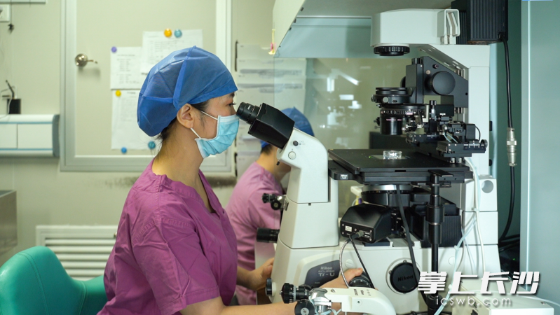 毛增辉教授在工作中。均为医院供图