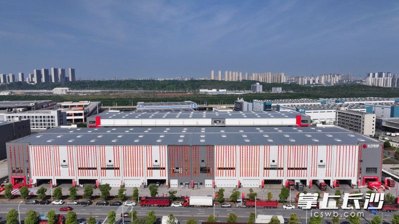 长沙超级仓占地8000余平方米。