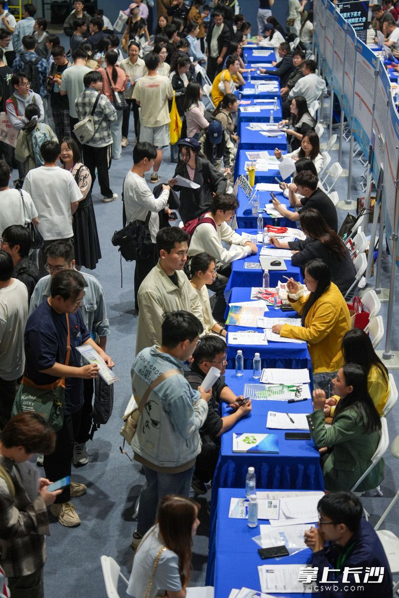 招聘会现场人气旺。