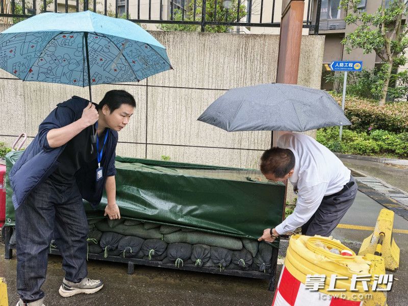 幸福里社区网格员周琪伟和万科物业安全主管贺小山在检查物资。