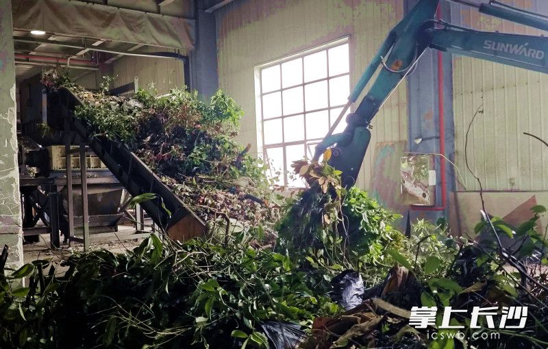 湖南金龙智造大件垃圾项目基地，生产车间将园林垃圾“变废为宝”。