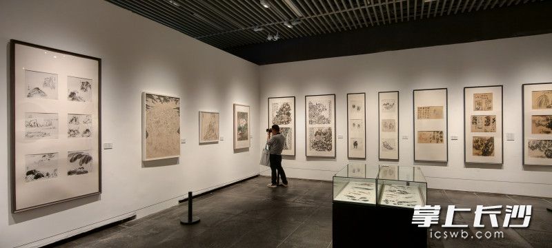 展厅作品。 均为长沙晚报全媒体记者肖舞摄